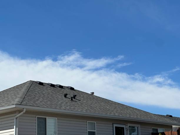 Best Roof Repair  in Dalzell, SC